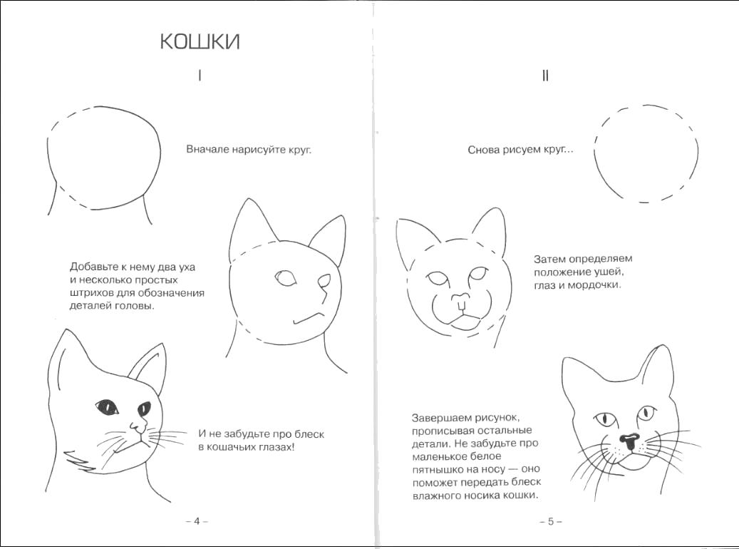 легкий рисунок кота для детей [Easy Cat Drawing ]. Как