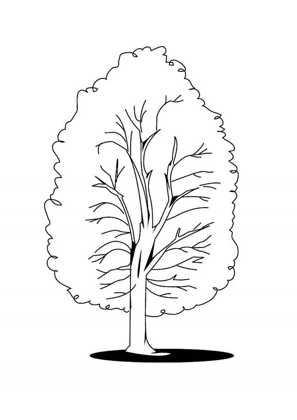 How to Draw Cartoon Trees with Easy