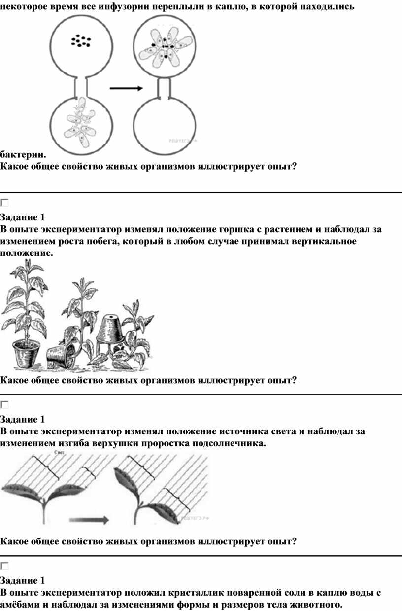 Книга канадского автора. Учебник общей