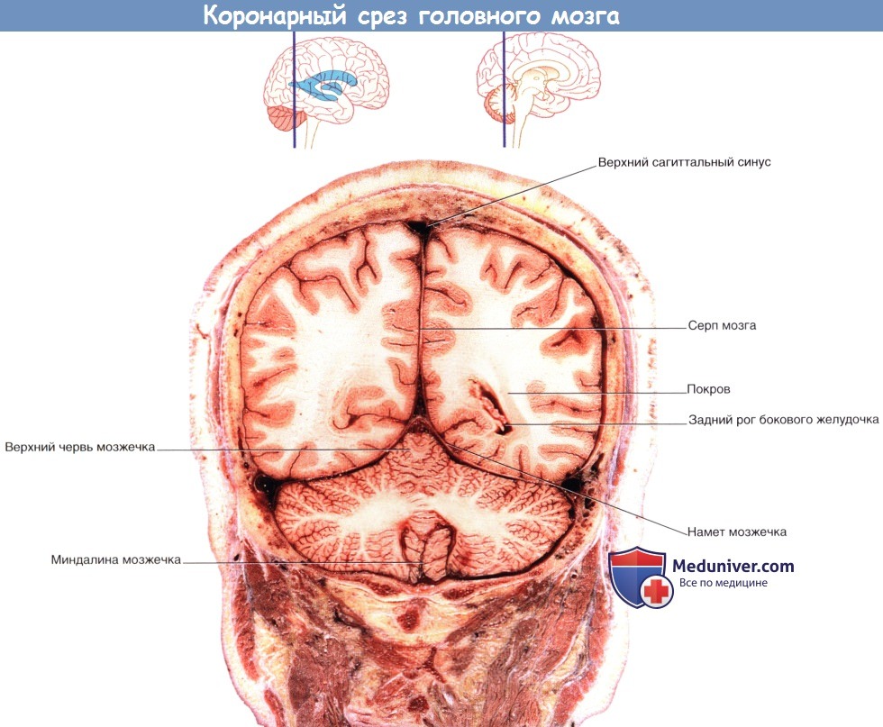 Photos by DentalMED | ПЛАТФОРМА СТОМАТОЛОГИИ И МЕДИЦИНЫ