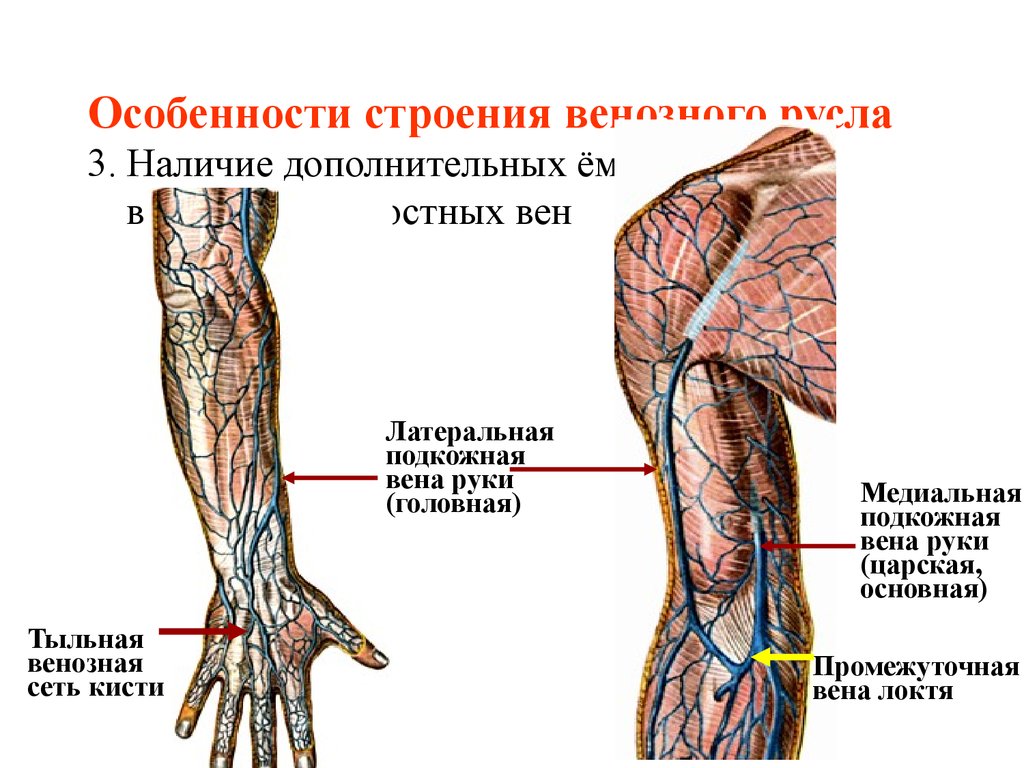 Как девушки гадают на любовь с помощью