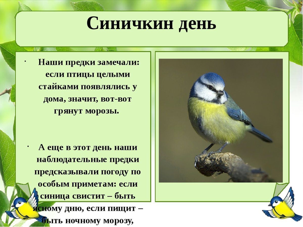 Таганрогский психоневрологический интернат №1 | Новости