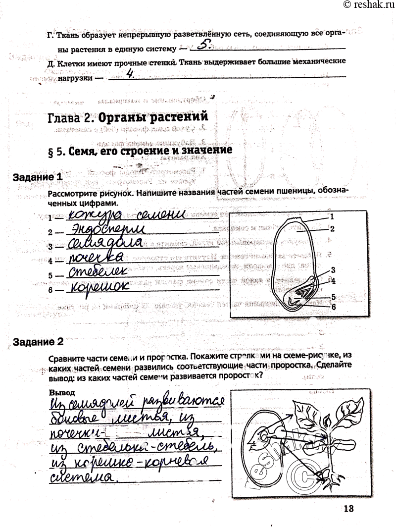 Разработка системы биологической защиты озимой пшеницы от