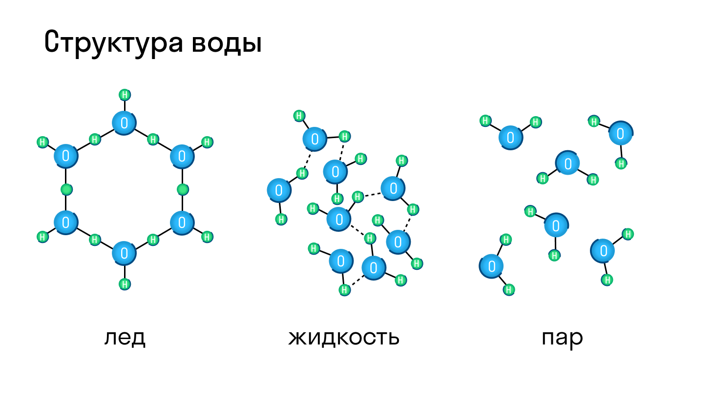 Масляная сетка, паровая корзина, сетчатый поддон для