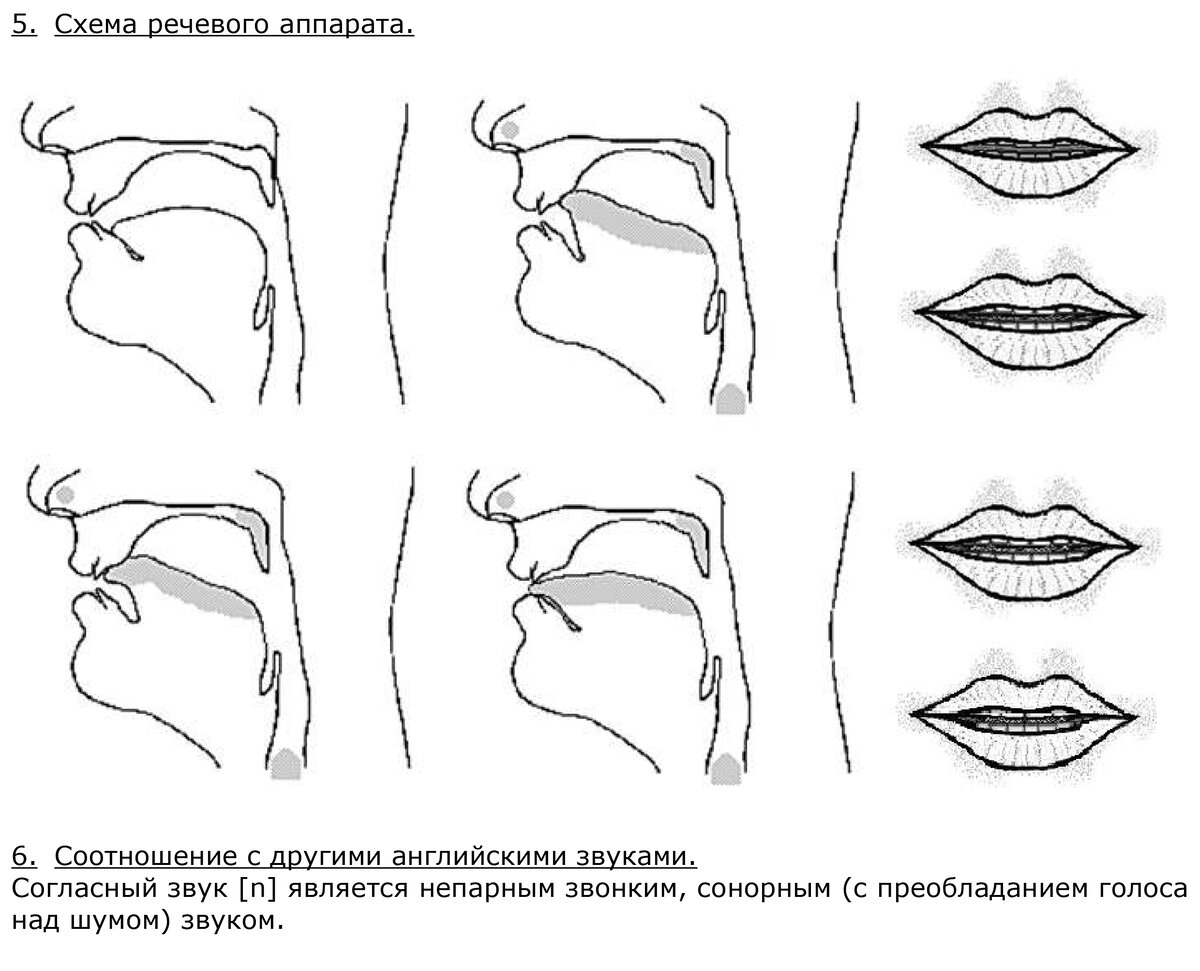 Книга: Веселая артикуляционная