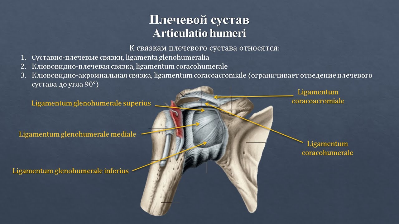 Синдром верхней апертуры