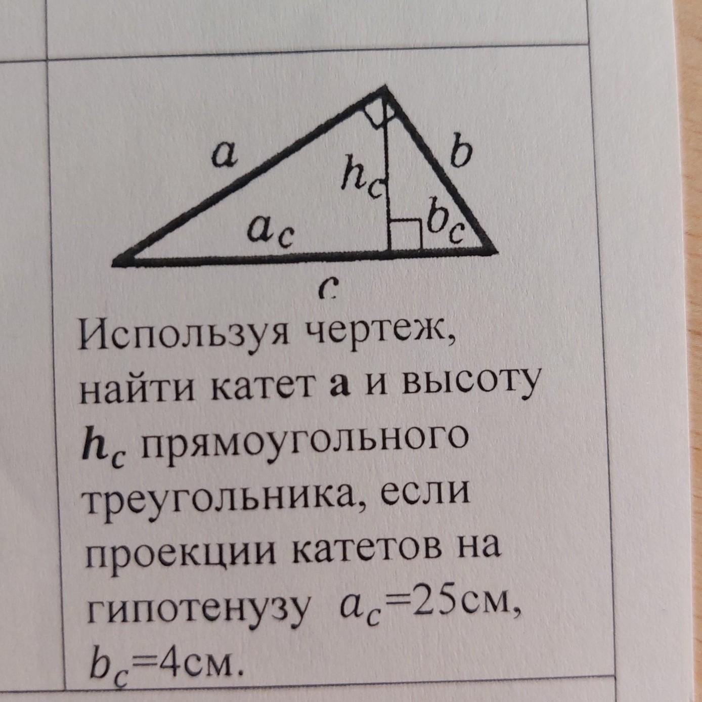 Как найти площадь прямоугольного