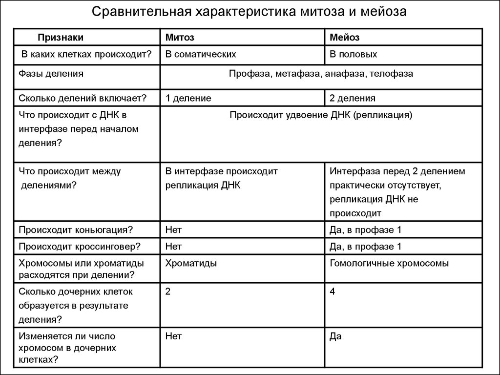 Задания, предназначенные для выполнения