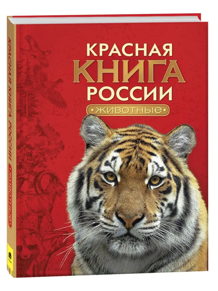 Как нарисовать книгу | Блог «Онлайн