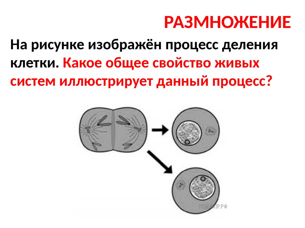 МЕТОДИЧЕСКИЕ РЕКОМЕНДАЦИИ обучающимся