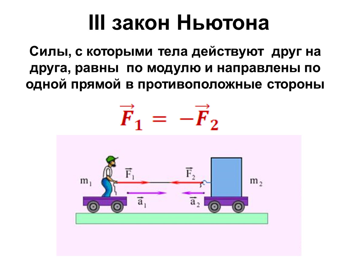 Динамика. Законы Ньютона 2024 | ВКонтакте