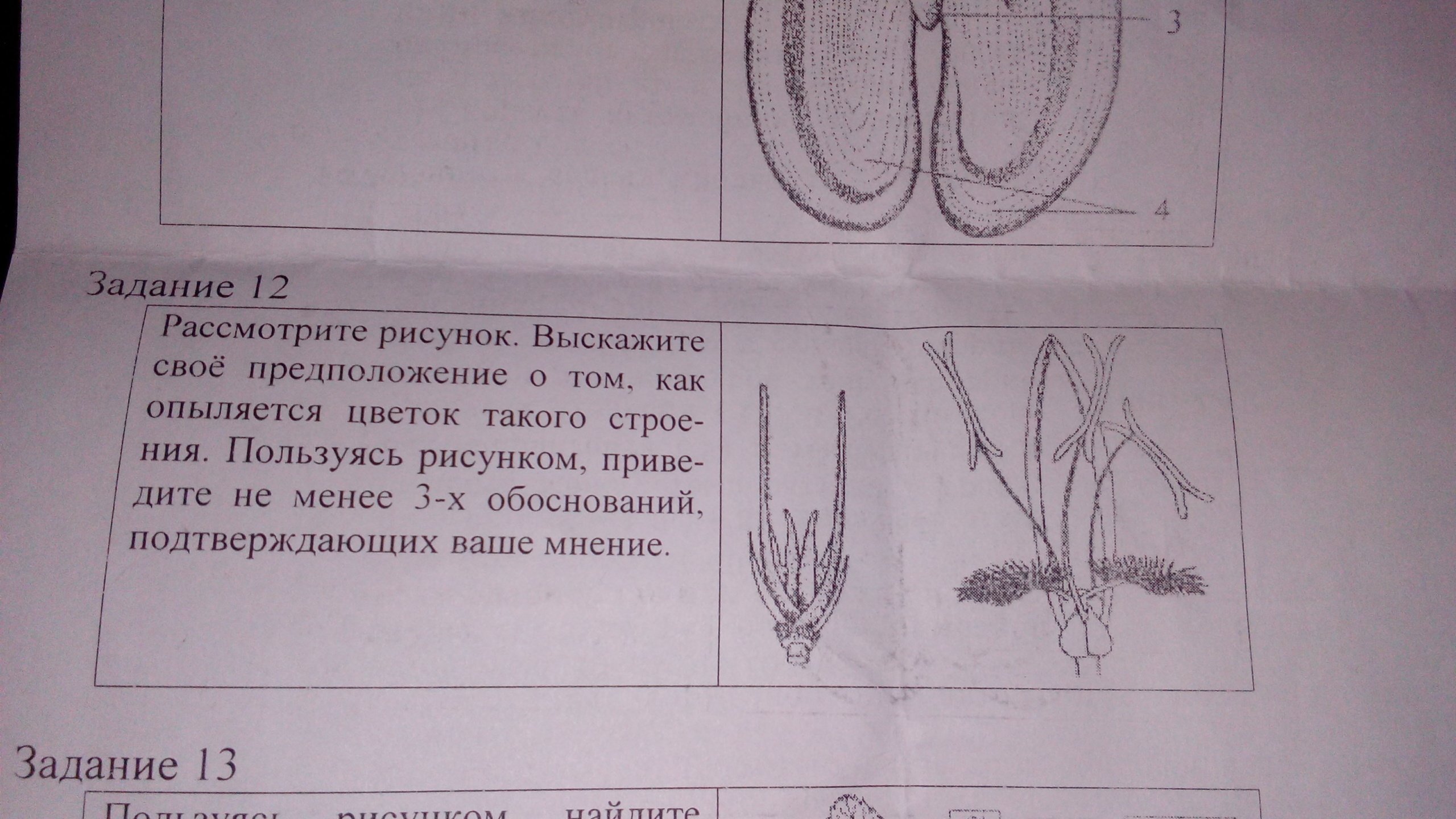 РАЗВИТИЕ ФУНКЦИОНАЛЬНОЙ ГРАМОТНОСТИ ОБУЧАЮЩИХСЯ ОСНОВНОЙ ШКОЛЫ