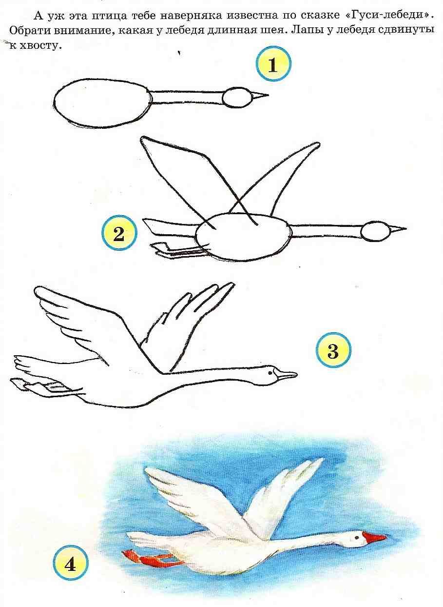 Рисунки журавли летят для срисовки 