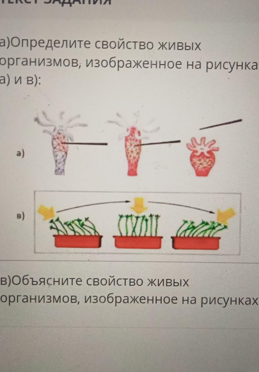 1. Живые организмы обладают рядом