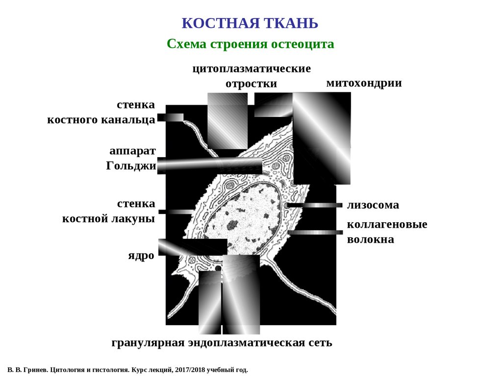 Биология