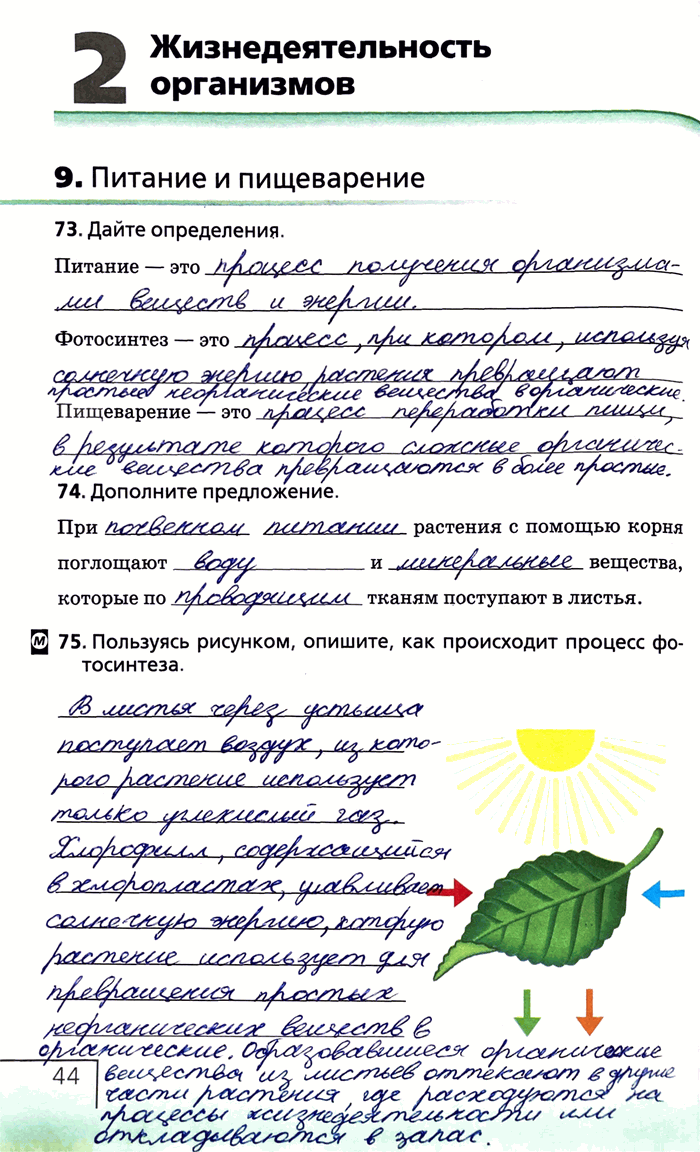 Часть 1 ГДЗ Рабочая тетрадь Пономарева 6 класс