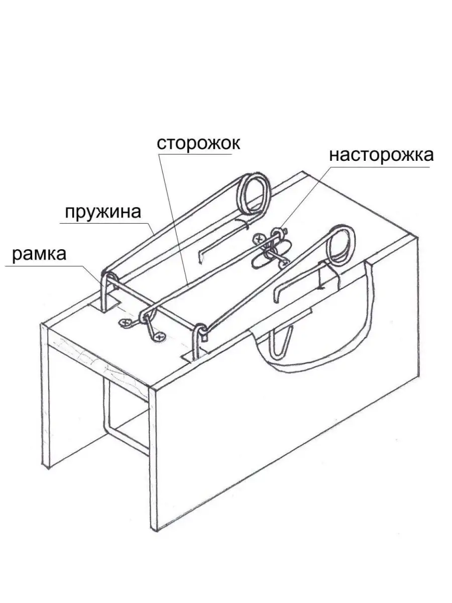 Храбрый заяц и волчица Капкан дедушки