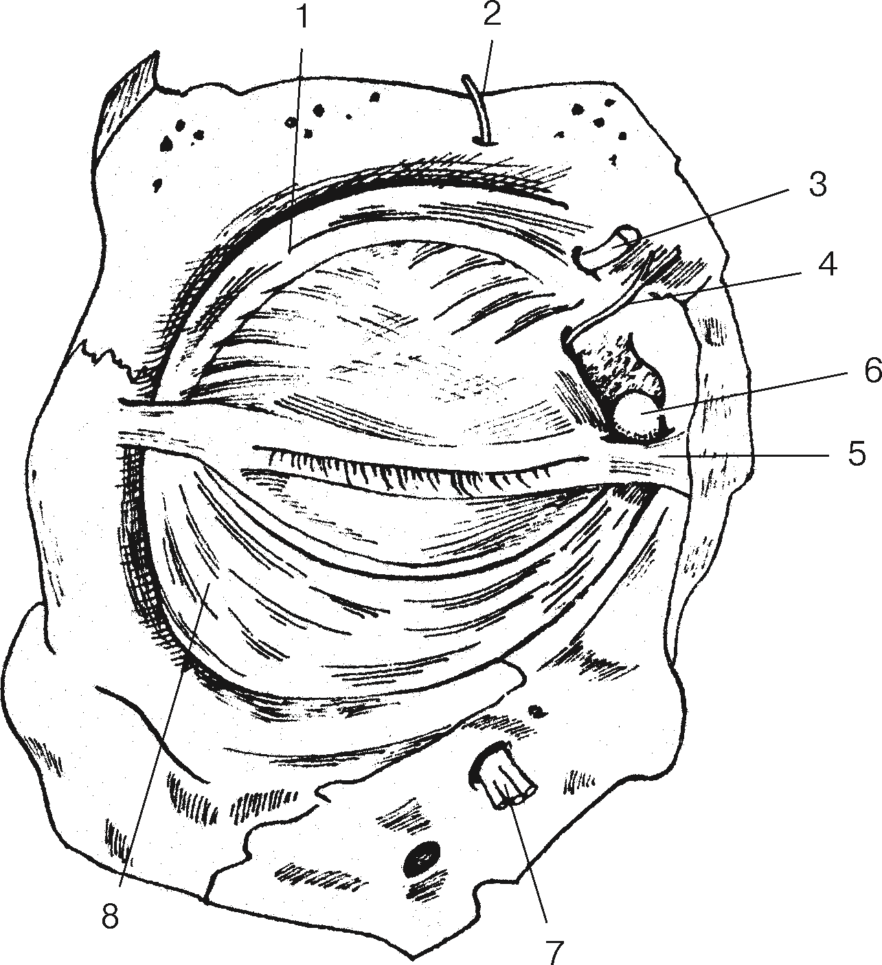 Биология. В 3