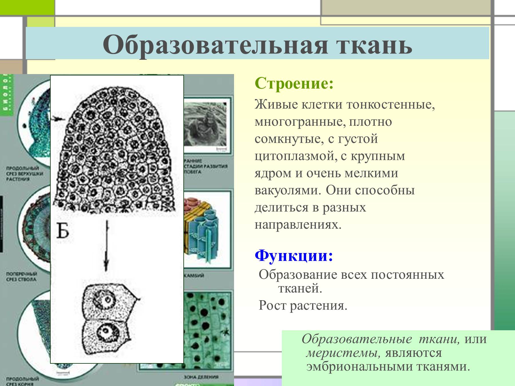 Задание №68963: Рассмотрите рисунки А