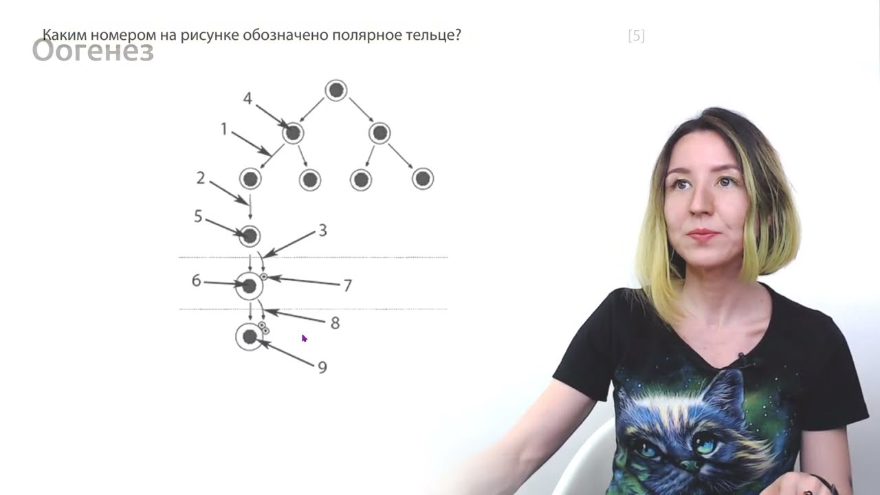 Часть 1 ГДЗ Рабочая тетрадь Пономарева 6 класс