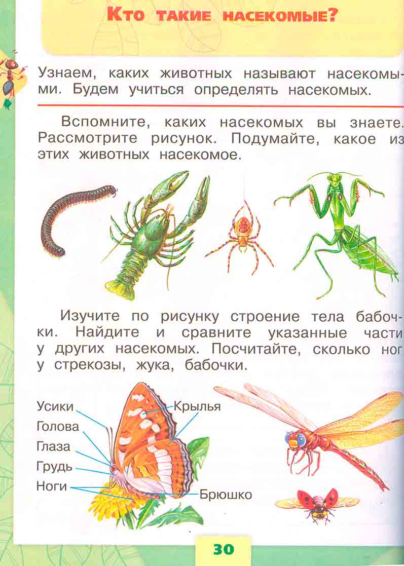 Рисунки Для 1 Класса 