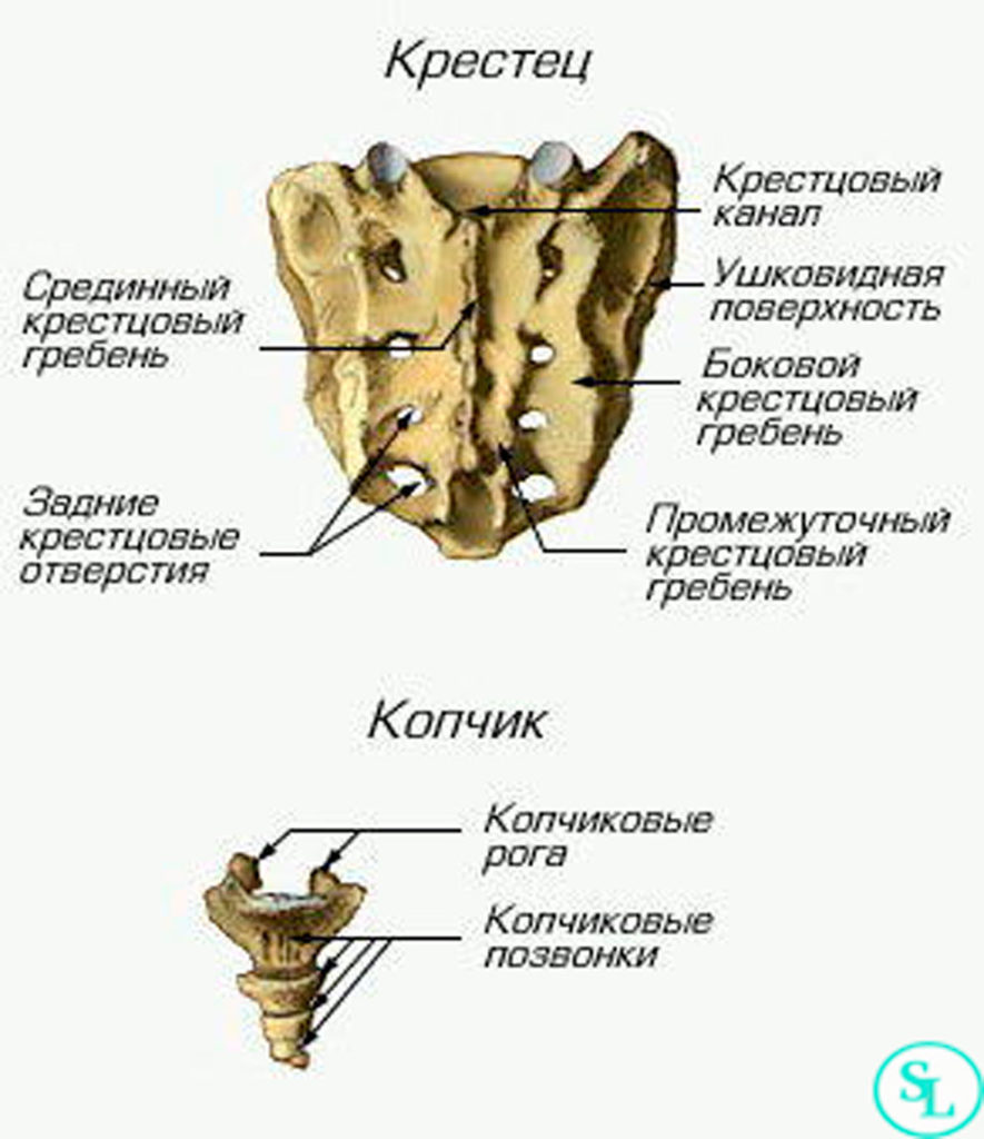 Остеохондроз шейного отдела