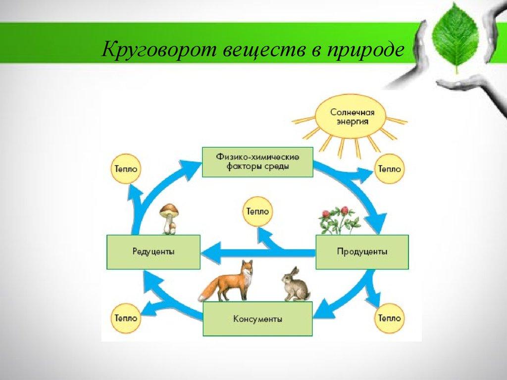 Круговорот воды в природе 