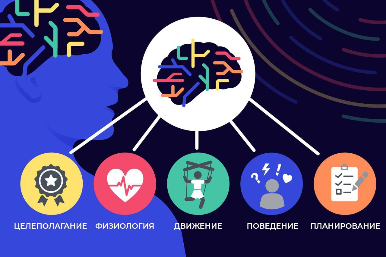 Документ подписан простой электронной подписью Информация о