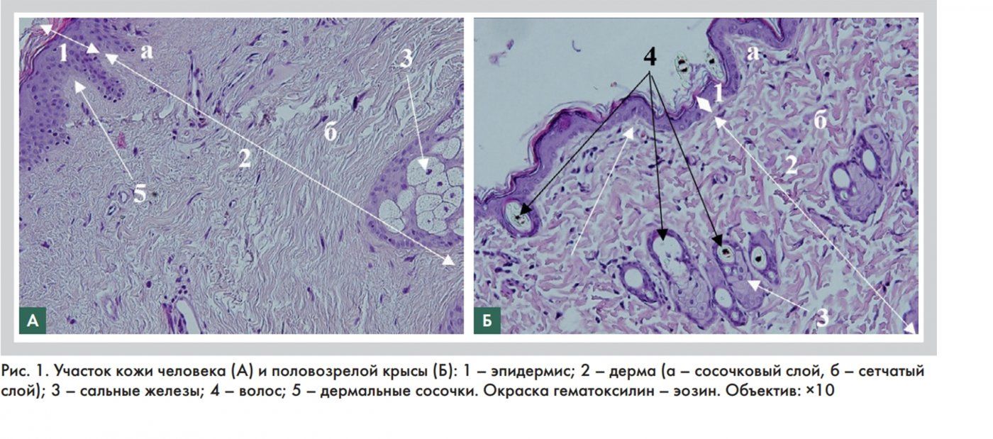 Задание 20. Работа с таблицей