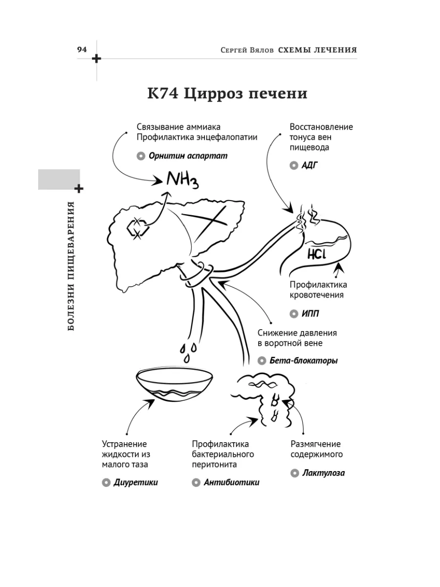 Кишечный микробиом и здоровье костей