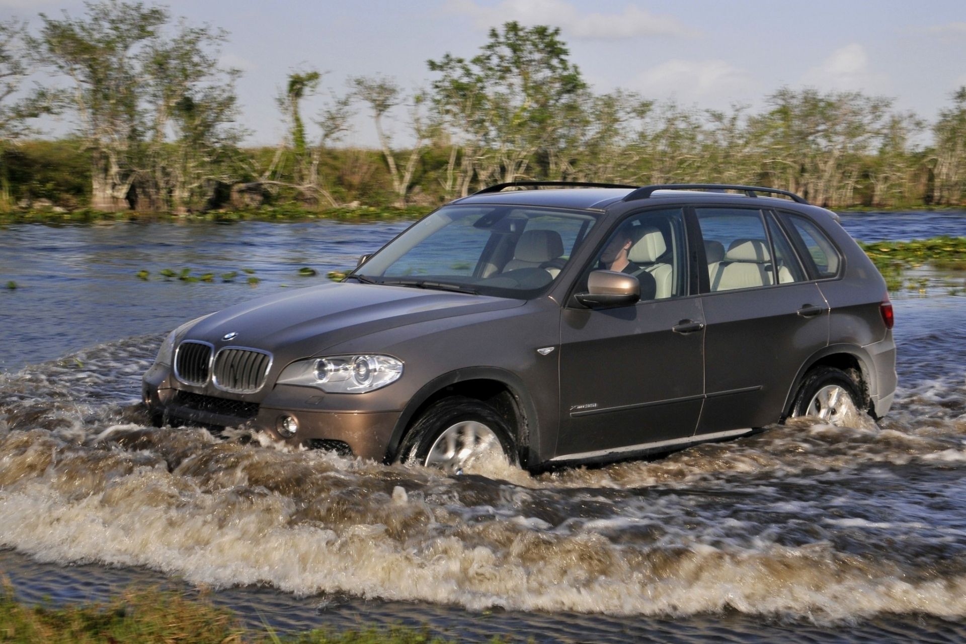 Автомобили M BMW X5 : модели