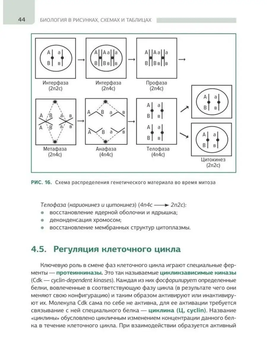 Карта характера freemynd