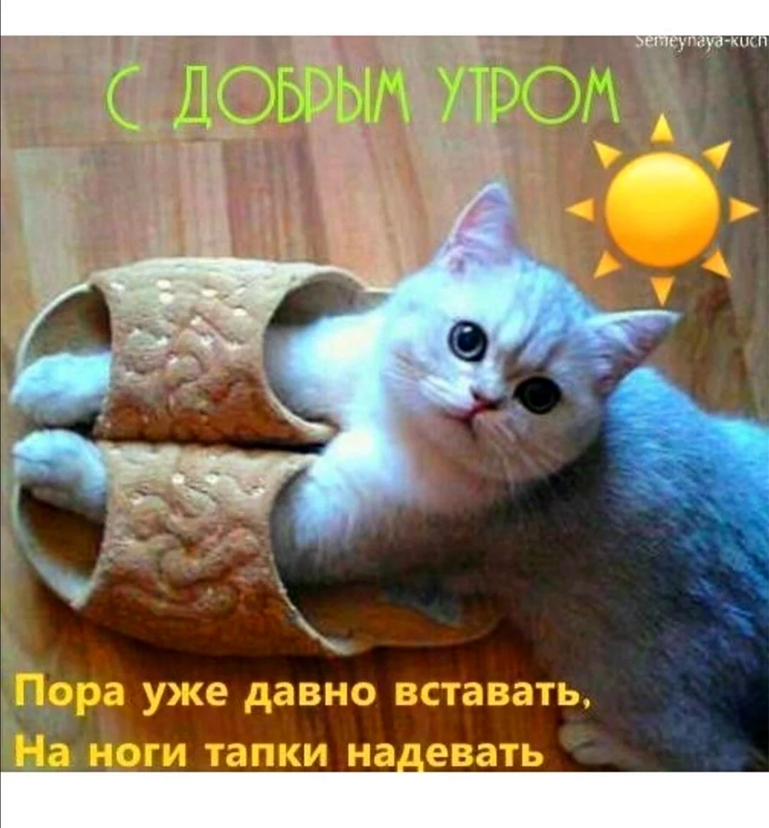 Доброе утро