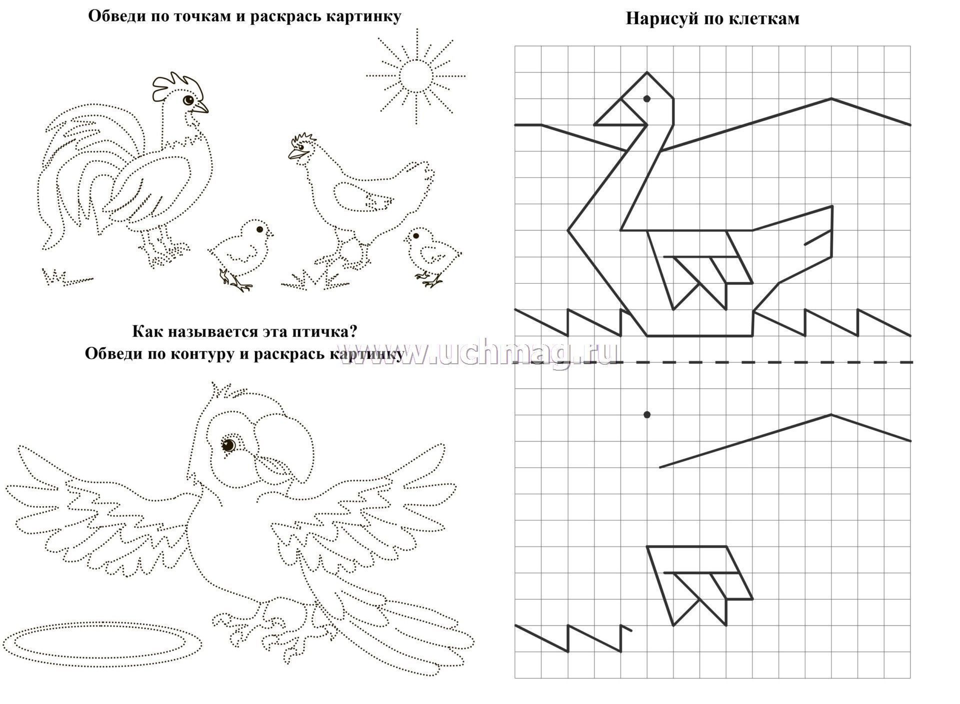 Мастер