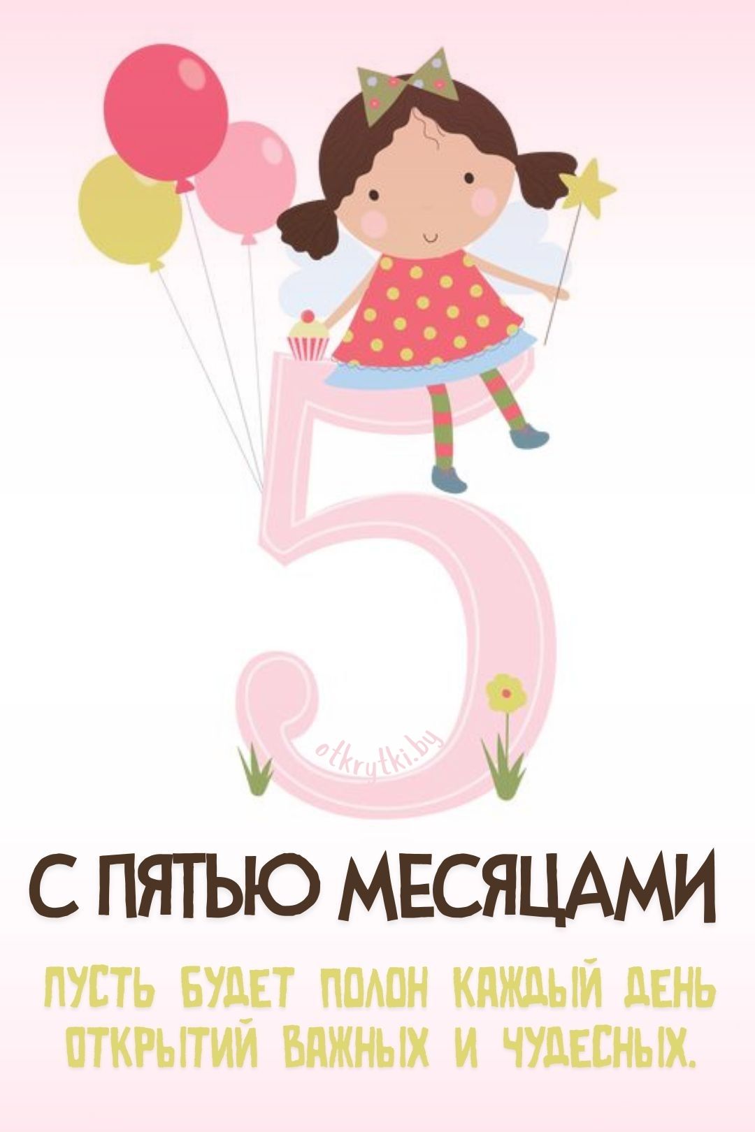 5 месяцев