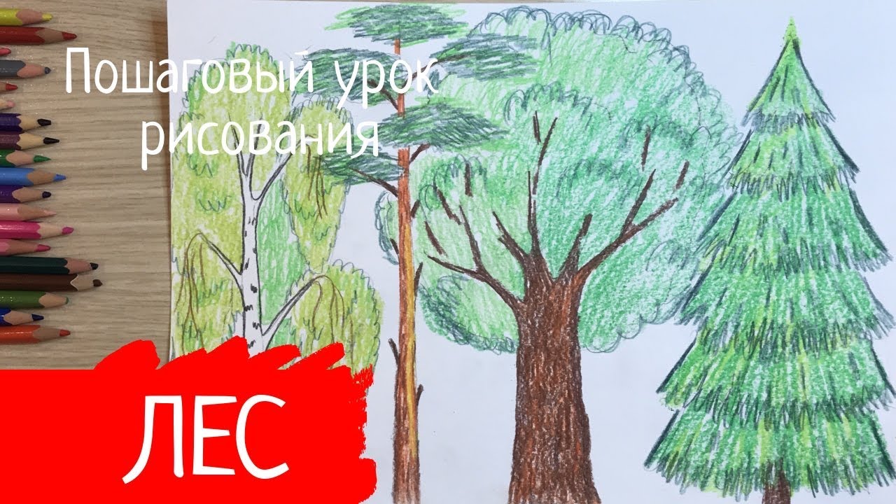 Древо семьи детский рисунок 