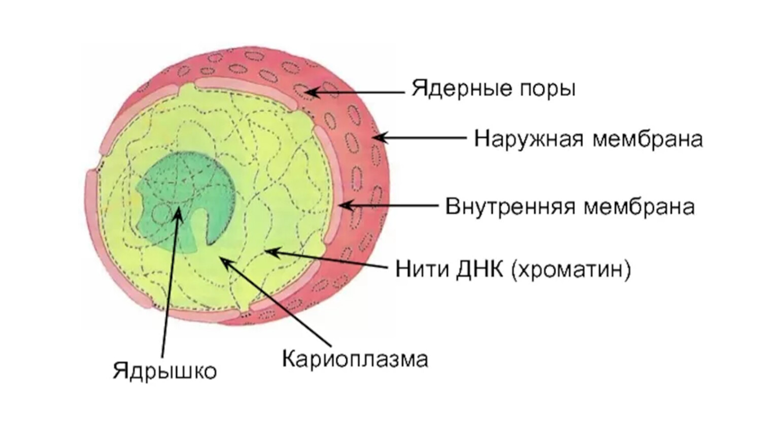 Вариант №3 