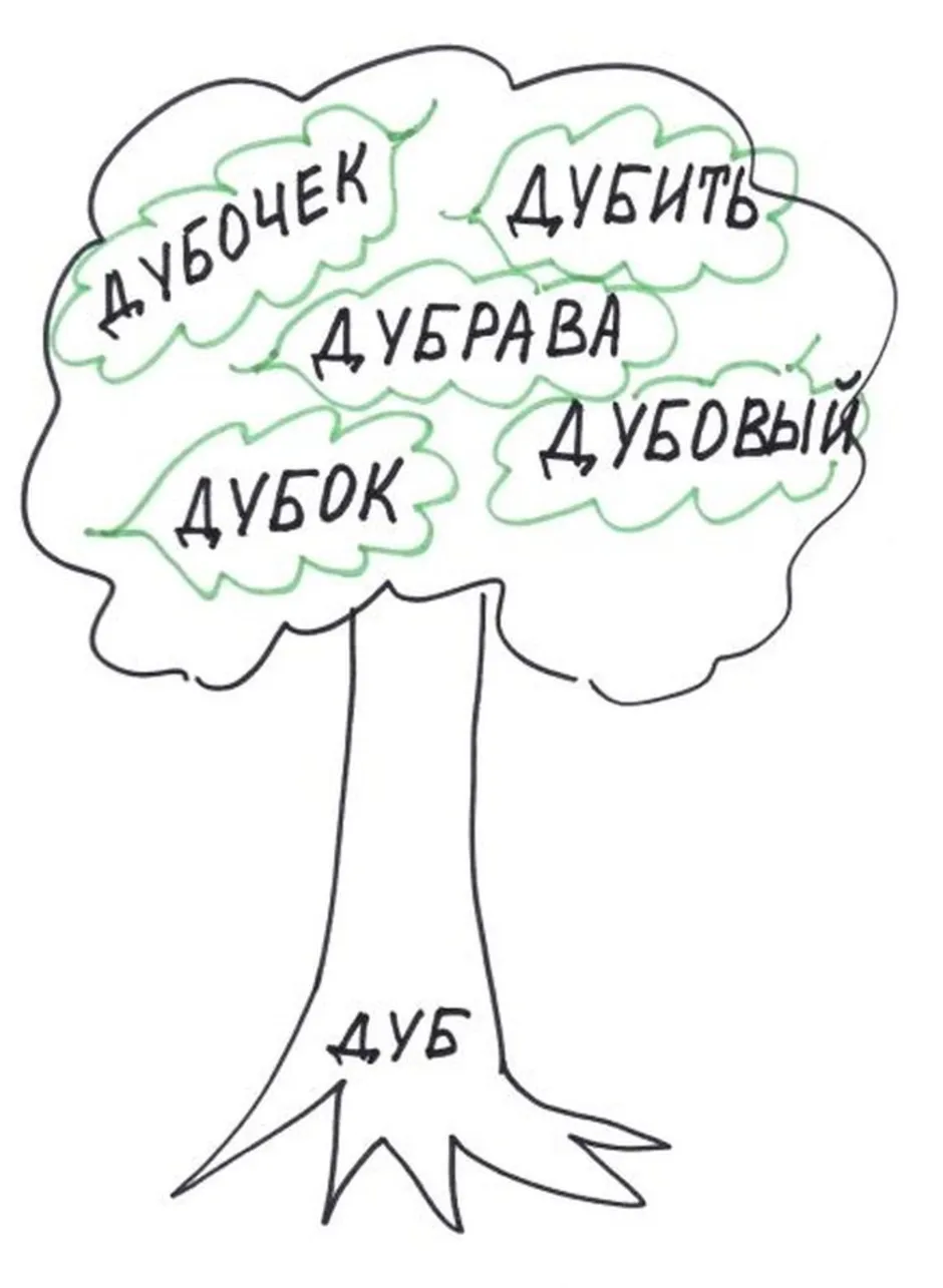 прочитай обьясни почему так называются слова лесник, садовник