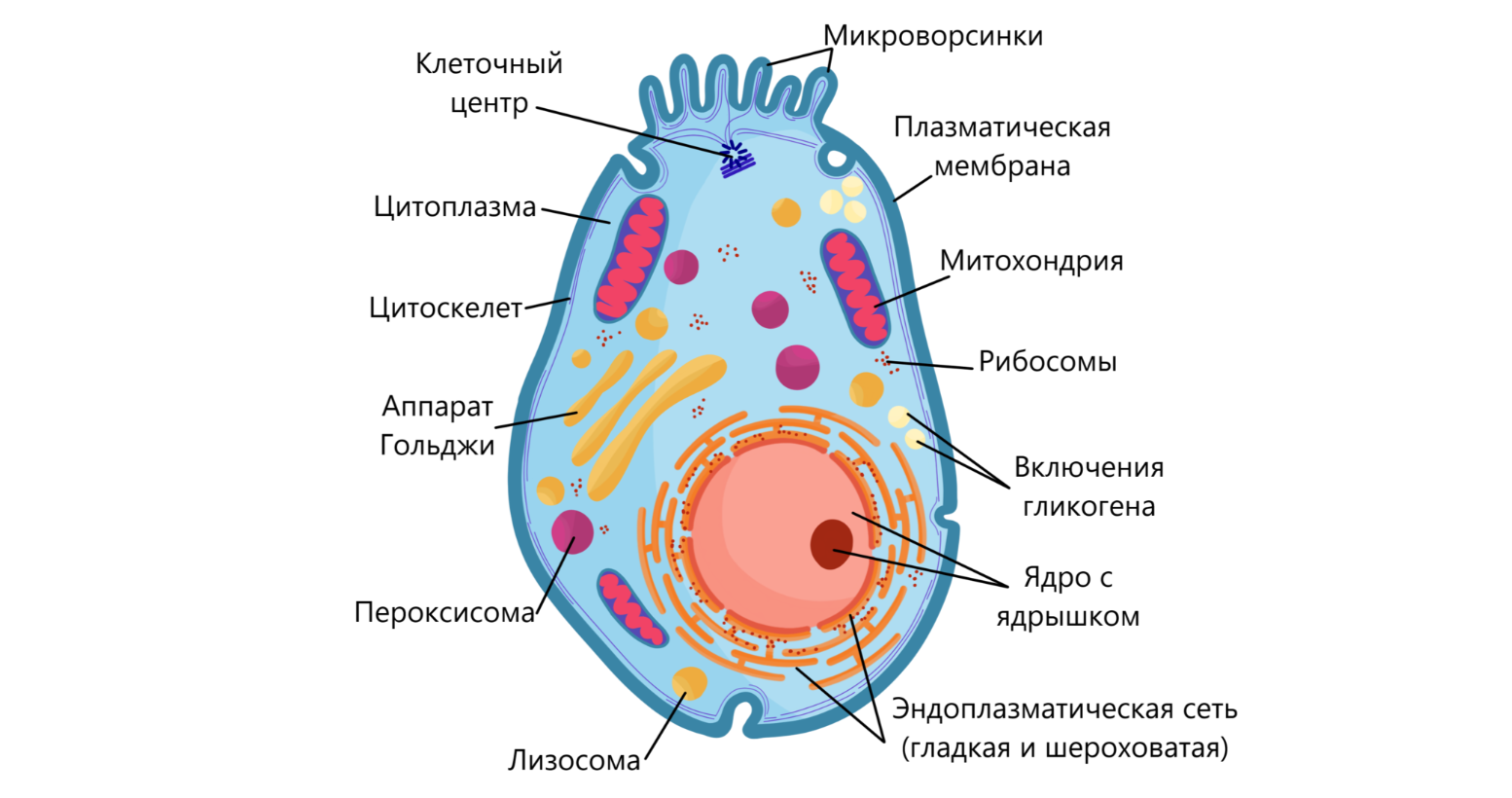 Рассмотрите названия