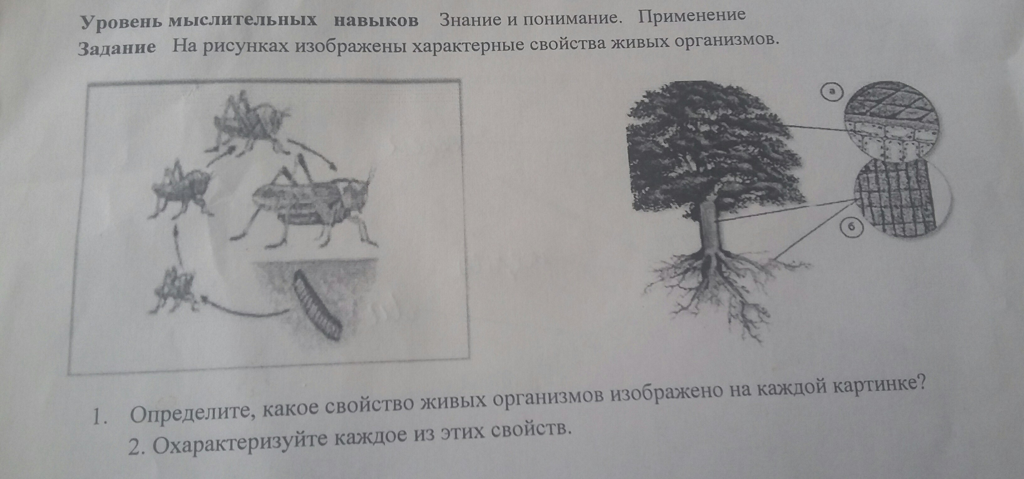 Власть над геном