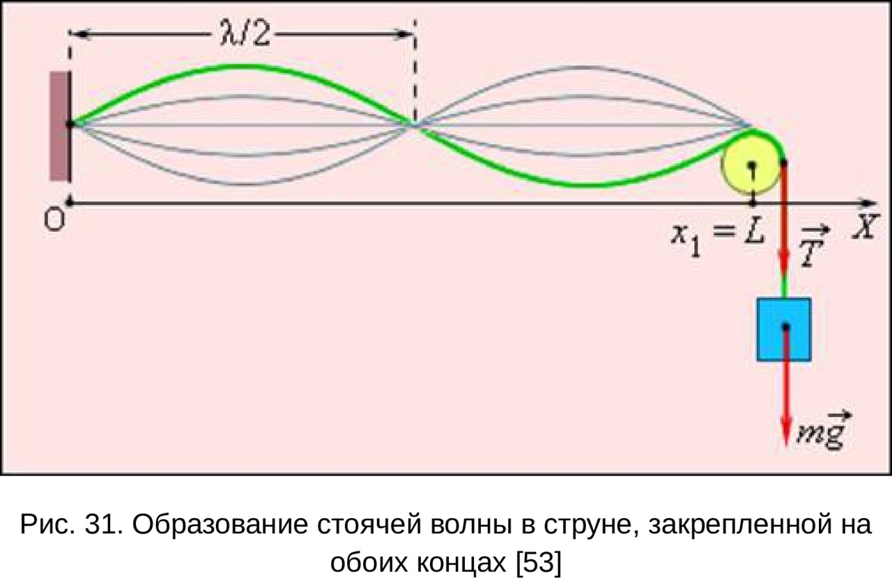 сударственный университет имени 