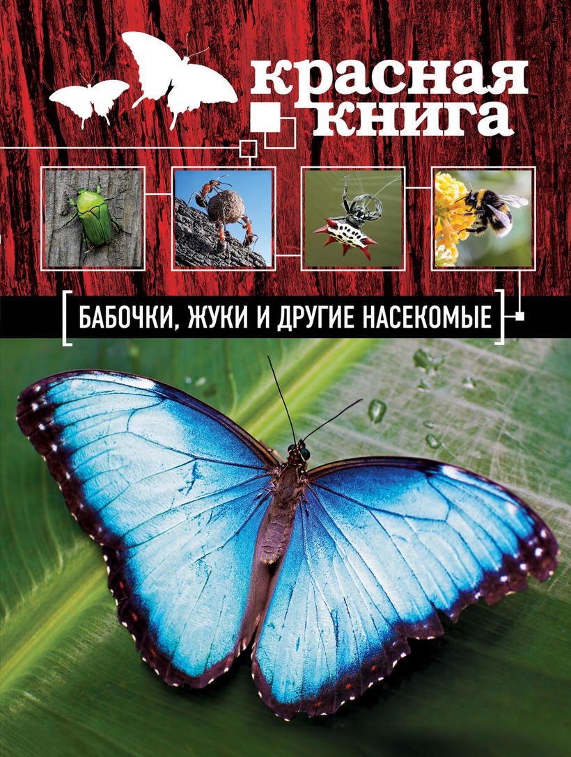 Красная книга Карелии | Животные в красной книге Карелии