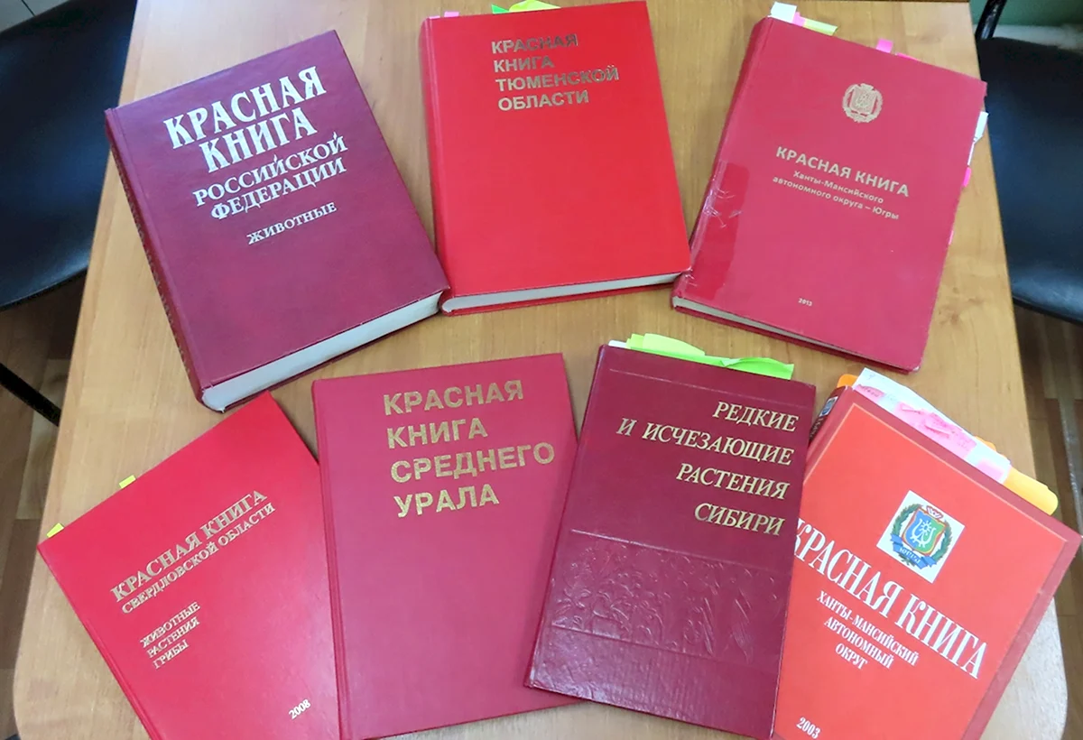 ЖИВОТНЫЕ КРАСНОЙ КНИГИ РОССИИ