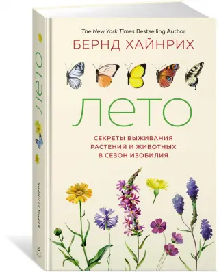 Рисунок Листьев Цветок, рисунок цветов, ботаника, лист