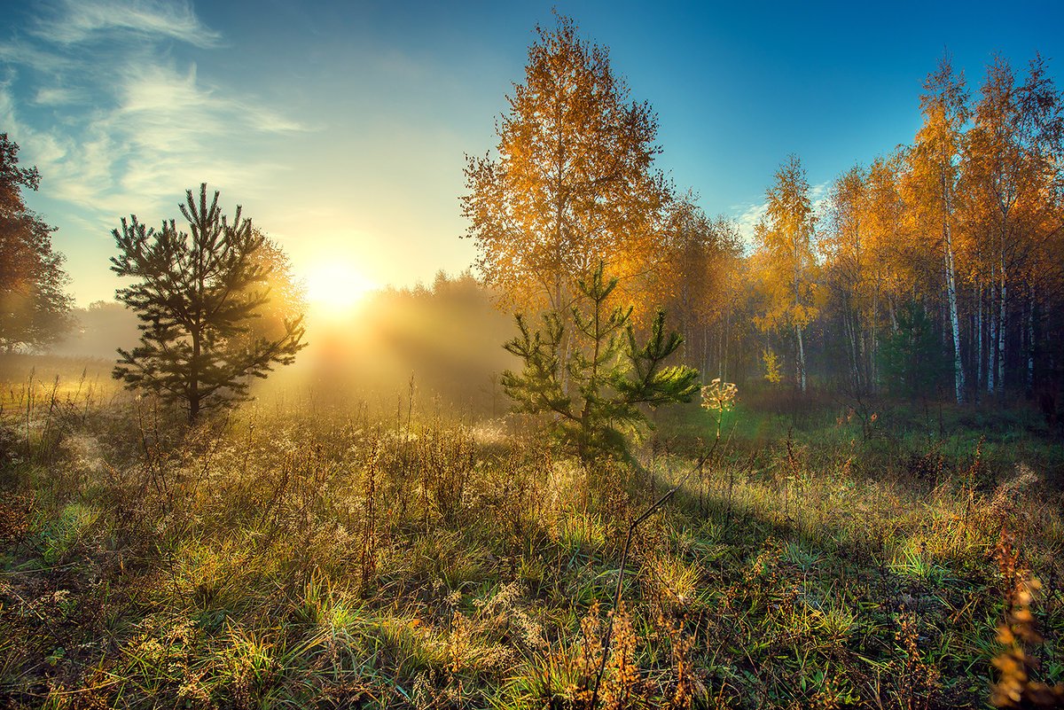 Доброго октябрьского утра🍂🍂🍂