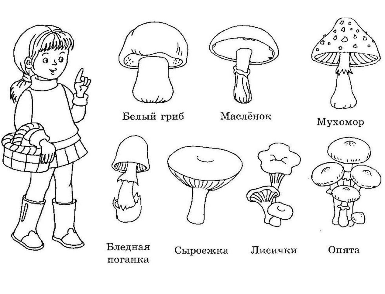 Грибы для срисовки