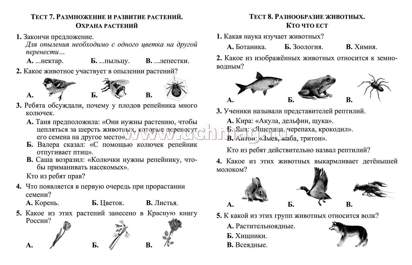 Лучшие диктанты и грамматические задания по русскому языку