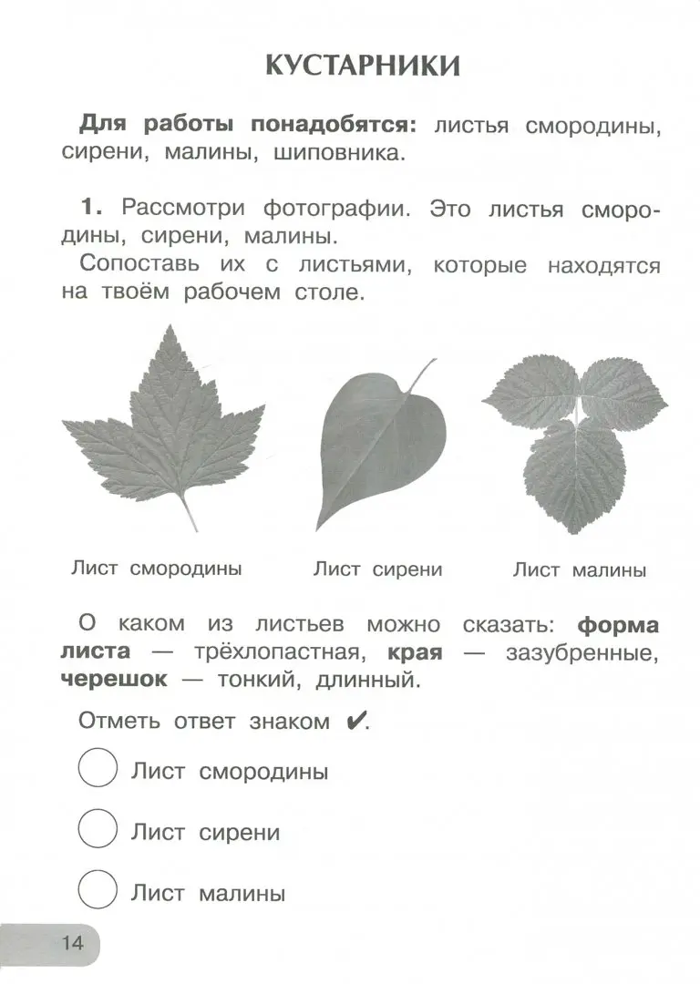 МАДОУ Детский сад № 19 Росинка