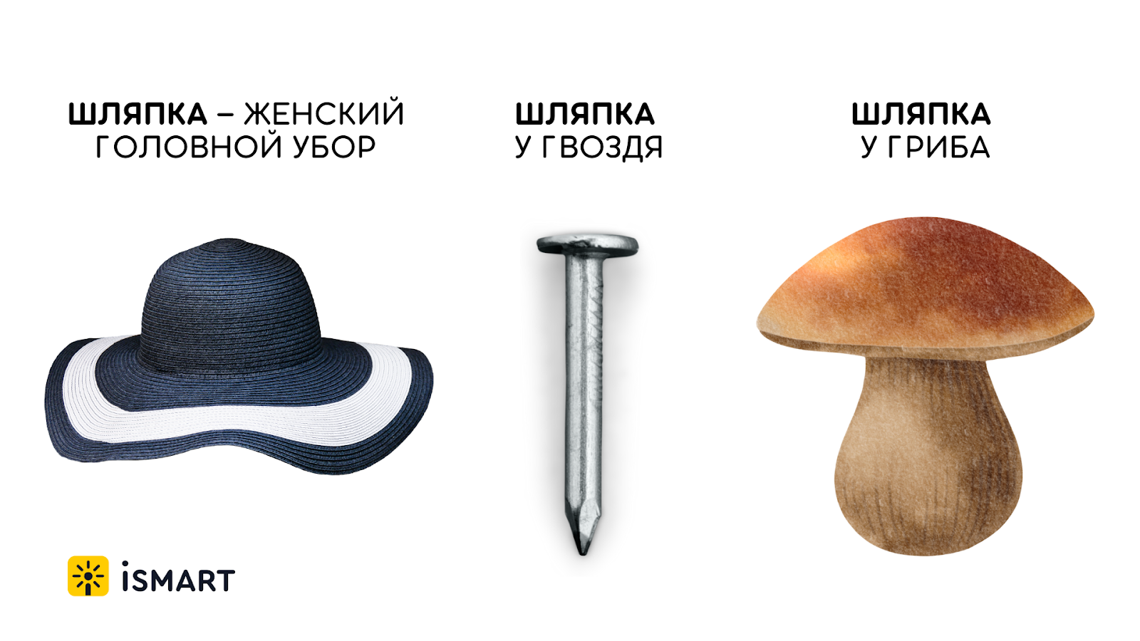 Грачи прилетели