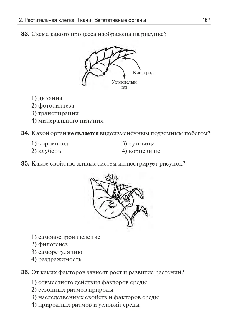 Интерактивная энциклопедия BimBiMon Знакомься: твое тело